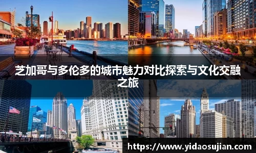 NG体育官网